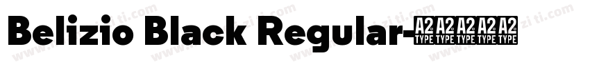 Belizio Black Regular字体转换